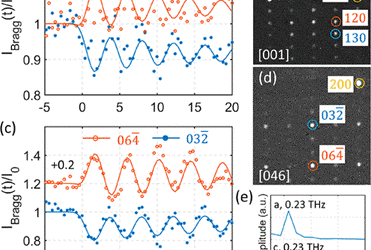 The study of the shear phonon mode in the 2D material