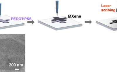 Static and dynamic microstructure of MXene based microsupercapacitor