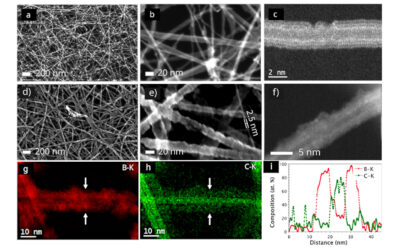 B4C coated carbon nanotubes via chemical vapor deposition