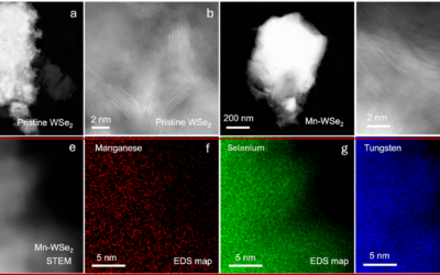 Mn-doped WSe2 as an efficient electrocatalyst for renewable energy production