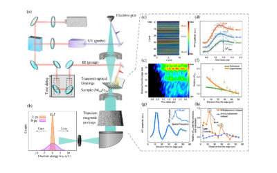 Ultrafast Imaging of Plasmon-Mediated Demagnetization Dynamics