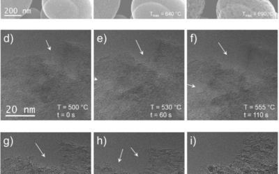 Oxidation of carbon nanomaterials using a nanoparticulate iron oxide catalyst: Direct observations in an electron microscope