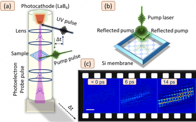 Space-time visualization of structured-light-induced phonon dynamics