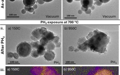 Gas-Actuated Bonding Revealed by In Situ Electron Microscopy